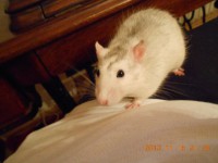 /album/fotogaleria/g-1-jpg/